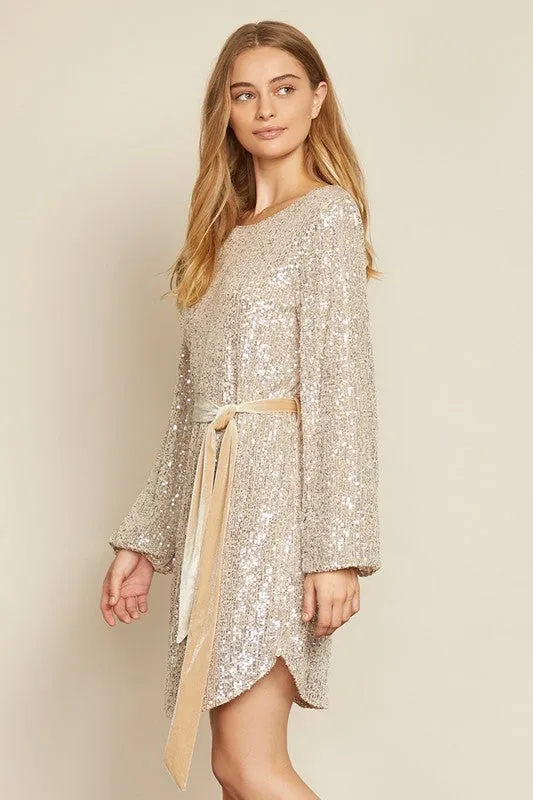 Bijou Sequin Party Dress